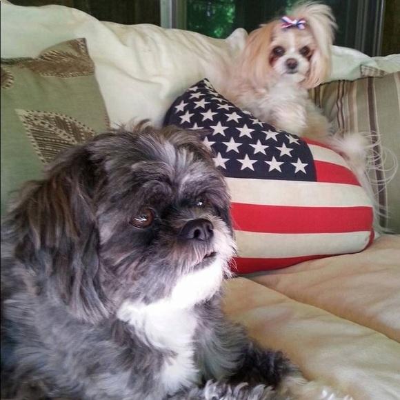 Meet your Posher, Diana - Picture 4 of 5